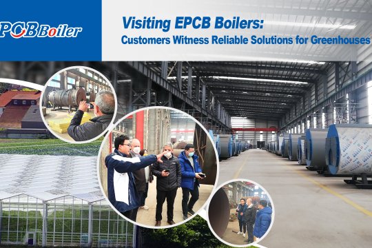 Visiting EPCB Boiler: Customer Testimonials that Provide Reliable Solutions for Greenhouses