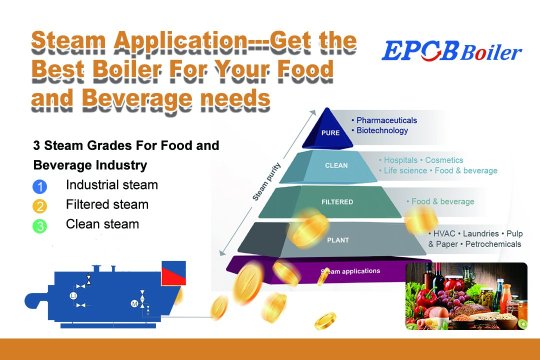 Steam Application---Get the Best Boiler For Your Food and Beverage needs